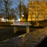 pingpongpanda_Platte_Karl-Schweing_morning – 2